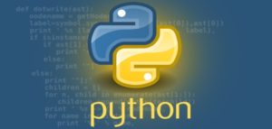 image of Python Tutor Singapore
