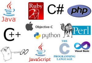 poly programming tutor image